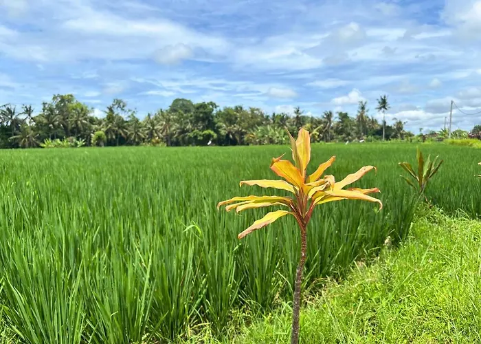 Hanoman - Serene 2br Rice Fields Hideaway *