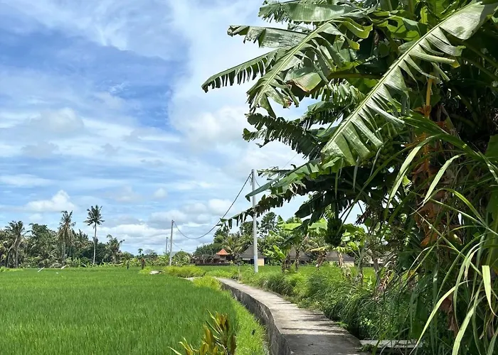 Hanoman - Serene 2br Rice Fields Hideaway Villa *